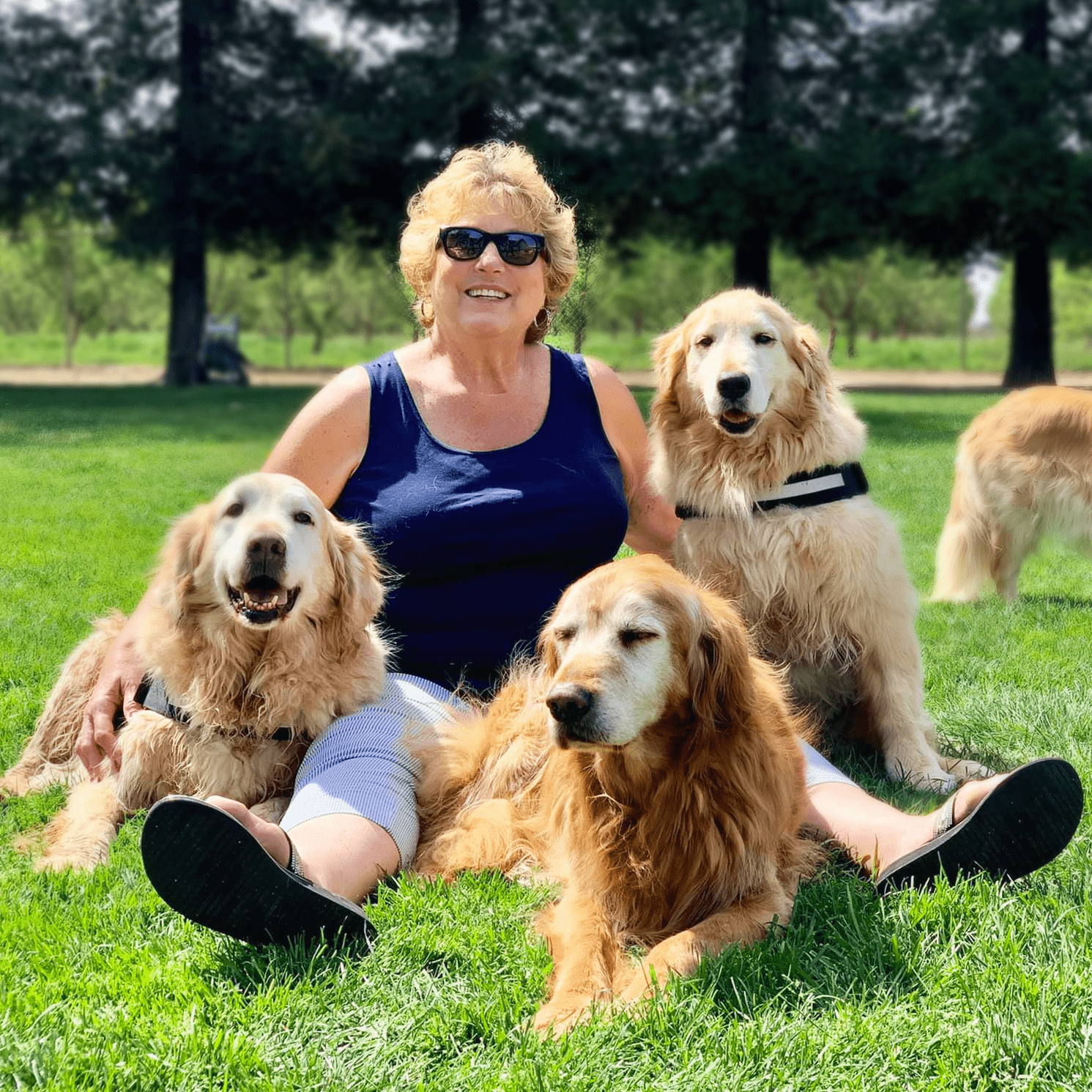 Jill Morgan - president and founder of True Love Rescue Golden Retriever Rescue - Lodi California - golden retrievers at True Love Rescue