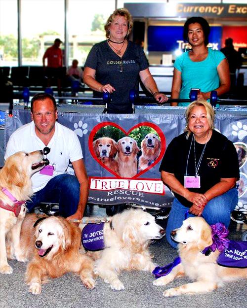 True Love Rescue True Love Rescue Rescued Love From Taiwan