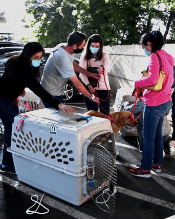 Volunteers outside airport