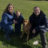 TLR Golden Retriever Rescue True Love Rescue - bay area california - Pluto