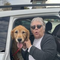 True Love Rescue – a Golden Retriever Rescue – Carmel Valley, California