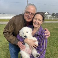 True Love Rescue – a Golden Retriever Rescue – Novato, California