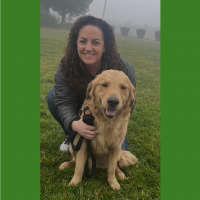 True Love Rescue – a Golden Retriever Rescue – Palo Alto, California