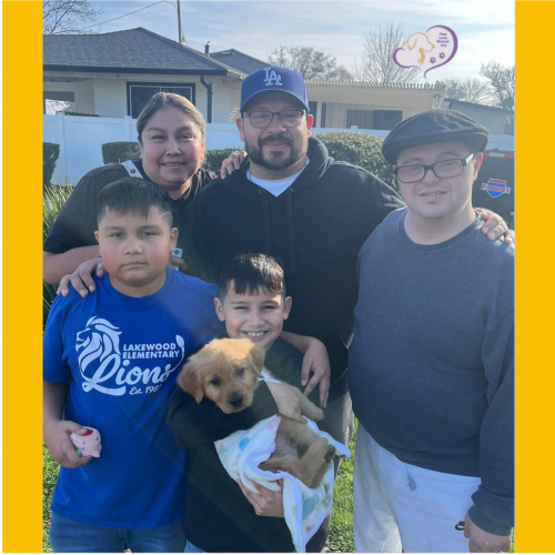 True Love Rescue – a Golden Retriever Rescue – Lodi, California