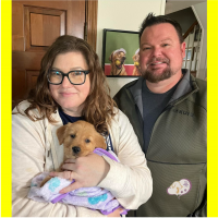 True Love Rescue – a Golden Retriever Rescue – Templeton, California