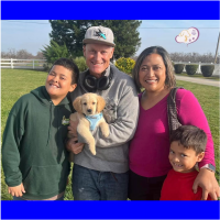 True Love Rescue – a Golden Retriever Rescue – San Jose, California