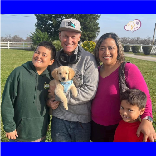 True Love Rescue – a Golden Retriever Rescue – San Jose, California