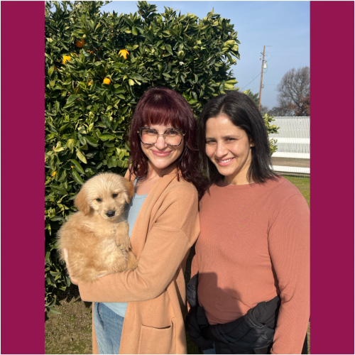 True Love Rescue – a Golden Retriever Rescue – Visalia, California