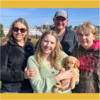 True Love Rescue – a Golden Retriever Rescue – Davis, California