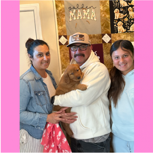 True Love Rescue – a Golden Retriever Rescue – Irvine, California