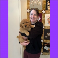 True Love Rescue – a Golden Retriever Rescue – Lafayette, California