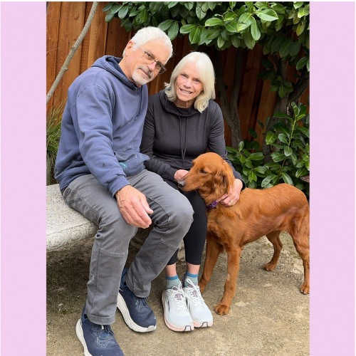 True Love Rescue – a Golden Retriever Rescue – Granite Bay, California