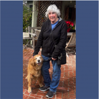 True Love Rescue – a Golden Retriever Rescue – Modesto, California