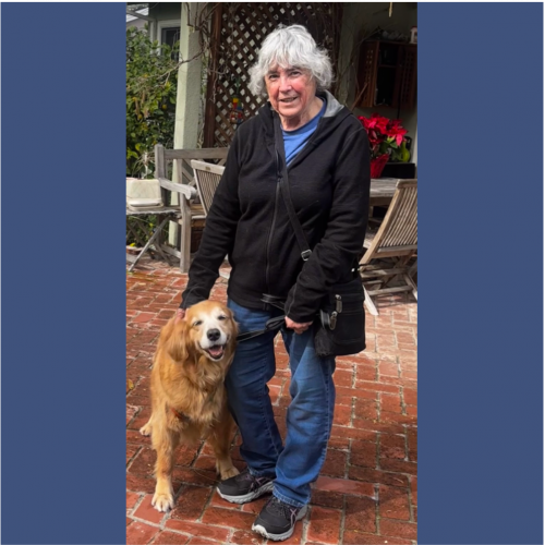 True Love Rescue – a Golden Retriever Rescue – Modesto, California