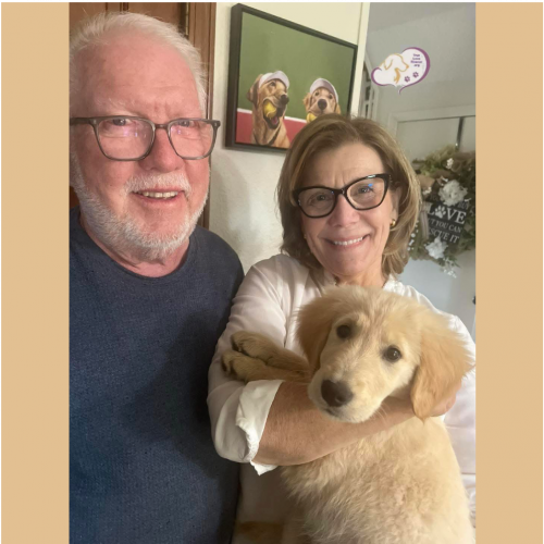 True Love Rescue – a Golden Retriever Rescue – Dana Point, California