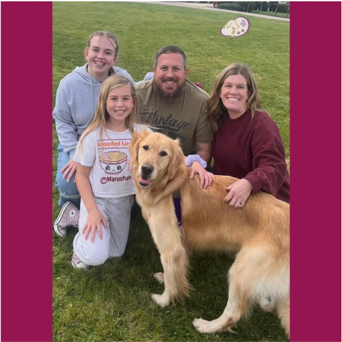 True Love Rescue – a Golden Retriever Rescue – Visalia, California