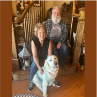 True Love Rescue – a Golden Retriever Rescue – Lodi, California