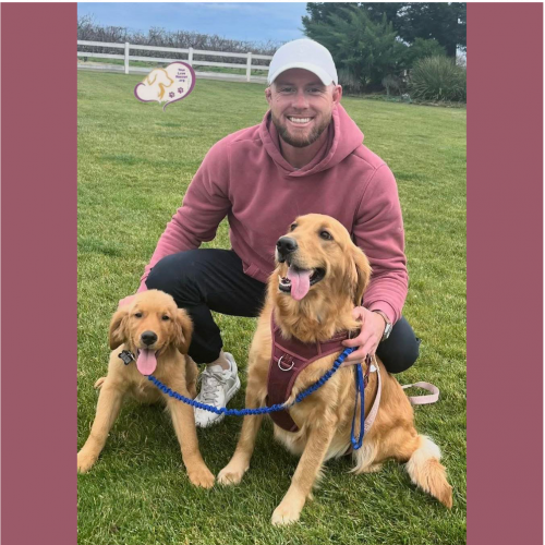 True Love Rescue – a Golden Retriever Rescue – Walnut Creek, California