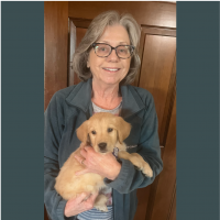 True Love Rescue – a Golden Retriever Rescue – Kingsburg, California