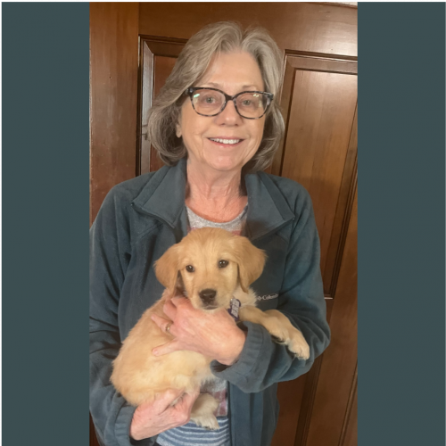 True Love Rescue – a Golden Retriever Rescue – Kingsburg, California
