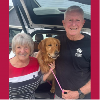 True Love Rescue – a Golden Retriever Rescue – Walnut Creek, California