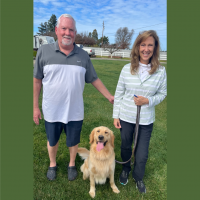 True Love Rescue – a Golden Retriever Rescue – Fort Collins, Colorado