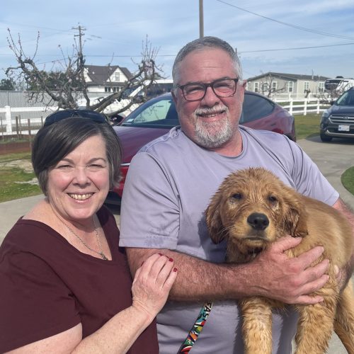 True Love Rescue – a Golden Retriever Rescue – Modesto, California