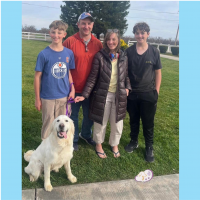 True Love Rescue – a Golden Retriever Rescue – Walnut Creek, California