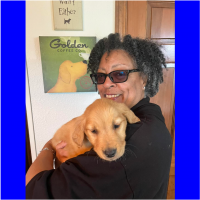 True Love Rescue – a Golden Retriever Rescue – Lodi, California