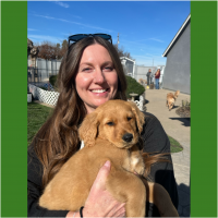 True Love Rescue – a Golden Retriever Rescue – Gardnerville, Nevada