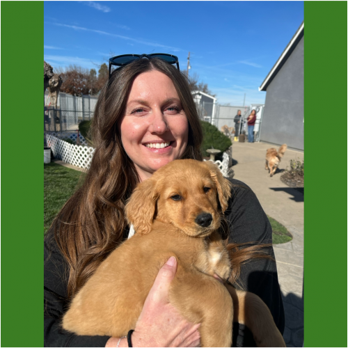 True Love Rescue – a Golden Retriever Rescue – Gardnerville, Nevada