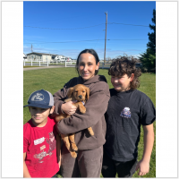 True Love Rescue – a Golden Retriever Rescue – Brentwood, California