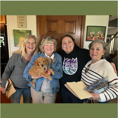 True Love Rescue – a Golden Retriever Rescue – El Dorado Hills, California