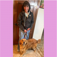 True Love Rescue – a Golden Retriever Rescue – Lodi, California