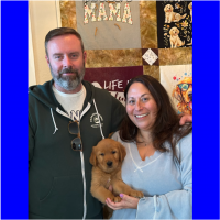 True Love Rescue – a Golden Retriever Rescue – Grass Valley, California