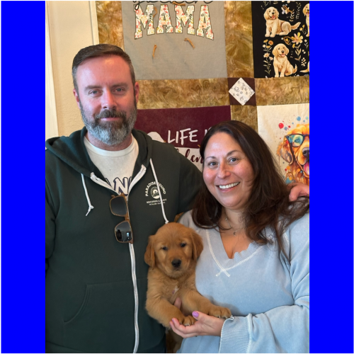 True Love Rescue – a Golden Retriever Rescue – Grass Valley, California