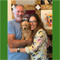 True Love Rescue – a Golden Retriever Rescue – Santa Rosa, California