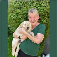 True Love Rescue – a Golden Retriever Rescue – Antioch, California