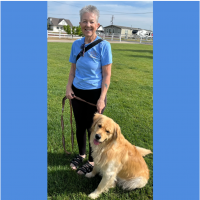 True Love Rescue – a Golden Retriever Rescue – Sacramento, California