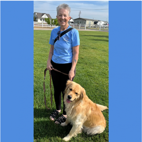 True Love Rescue – a Golden Retriever Rescue – Sacramento, California