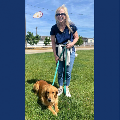 True Love Rescue – a Golden Retriever Rescue – Encino, California