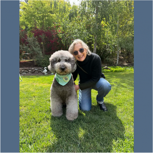 True Love Rescue – a Golden Retriever Rescue – Burlingame, California