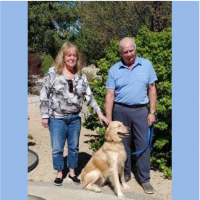 True Love Rescue – a Golden Retriever Rescue – Sparks, Nevada