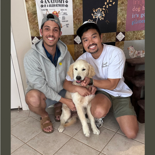 True Love Rescue – a Golden Retriever Rescue – Roseville, California