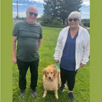True Love Rescue – a Golden Retriever Rescue – Escondido, California