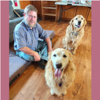 True Love Rescue – a Golden Retriever Rescue – Aromas, California