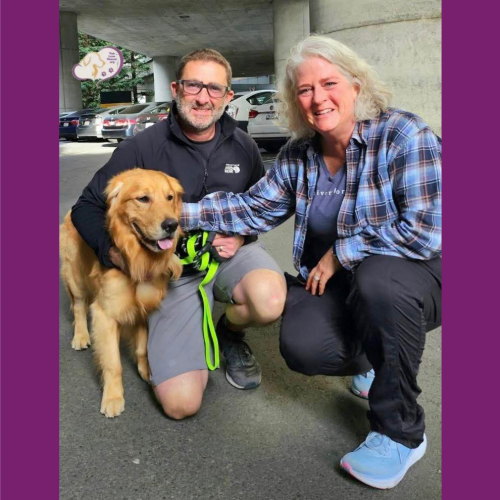 True Love Rescue – a Golden Retriever Rescue – Moraga, California