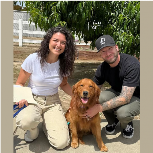 True Love Rescue – a Golden Retriever Rescue – Oakland, California