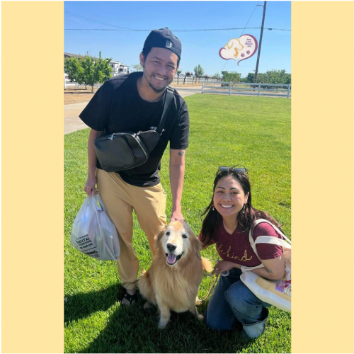 True Love Rescue – a Golden Retriever Rescue – Manteca, California