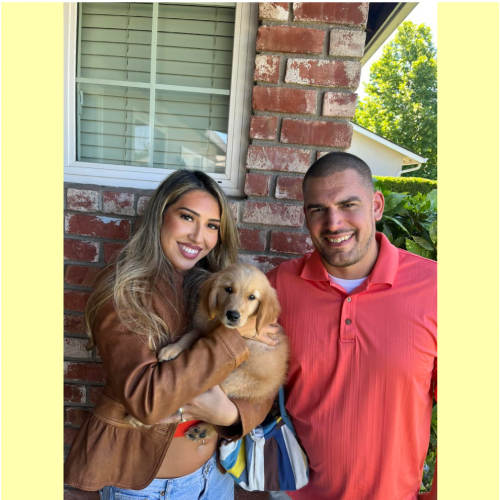 True Love Rescue – a Golden Retriever Rescue – Red Bluff, California